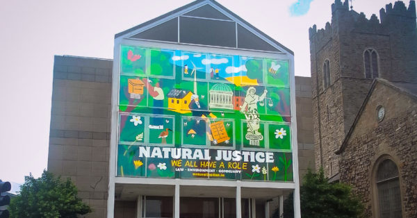 Natural Justice Initiative: Dublin 7 artwork illustrates intersection between law, community and environment