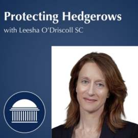 Protecting the Native Irish Hedgerow | Leesha O’Driscoll SC